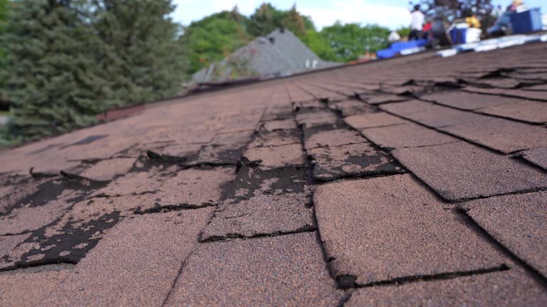 Best Rubber Roofing (EPDM, TPO)  in Dayton, OH